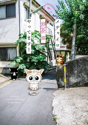 メチャイロちいき猫やってます！ 表紙