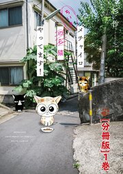 メチャイロちいき猫やってます！
