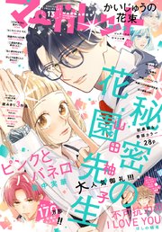 マーガレット 2024年13号