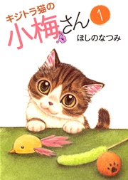 キジトラ猫の小梅さん 表紙