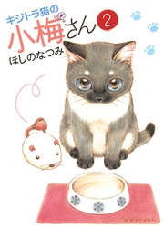 キジトラ猫の小梅さん（2）
