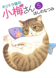 キジトラ猫の小梅さん（5）