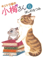 キジトラ猫の小梅さん（6）