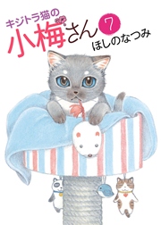 キジトラ猫の小梅さん（7）