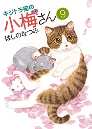 キジトラ猫の小梅さん（9）