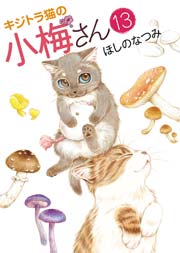 キジトラ猫の小梅さん（13）