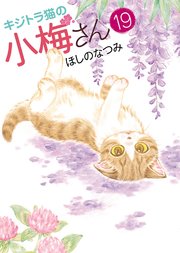 キジトラ猫の小梅さん（19）