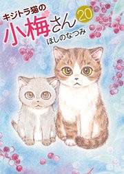 キジトラ猫の小梅さん（20）