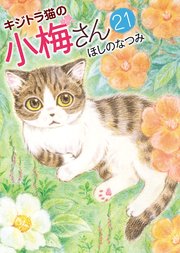 キジトラ猫の小梅さん（21）