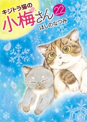 キジトラ猫の小梅さん（22）