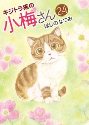 キジトラ猫の小梅さん（24）