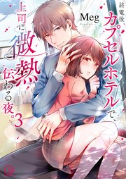 終電後、カプセルホテルで、上司に微熱伝わる夜。3【単行本版特典ペーパー付き】