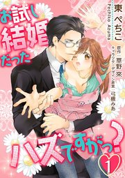 お試し結婚だったハズですがっ？