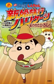 映画クレヨンしんちゃん 新婚旅行ハリケーン ～失われたひろし～