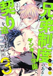 兄弟制度のあるヤンキー学園で、今日も契りを迫られてます #18