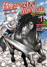 召喚された賢者は異世界を往く　～最強なのは不要在庫のアイテムでした～　15