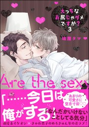 えっちなお尻じゃダメですか？【シーモア＆電子限定かきおろし漫画付】 3