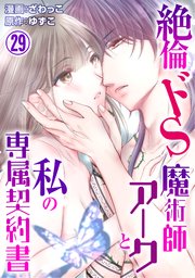 絶倫ドS魔術師アークと私の専属契約書 29
