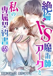 絶倫ドS魔術師アークと私の専属契約書 65