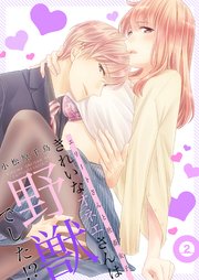 きれいなオネエさんは野獣でした！？～エリートさんと社畜女子【電子特装版】2巻