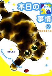 本日の猫事情 （3）