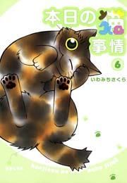 本日の猫事情 （6）