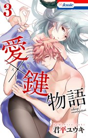 愛×鍵物語【おまけ描き下ろし付き】 3巻