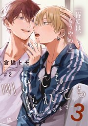 明けても暮れても ―続 いつか恋になるまで―3(2)