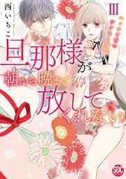 旦那様が朝から晩まで放してくれない～エッチで甘いワケあり婚!?【コミックス版】【シーモア限定おまけ付き】 3巻
