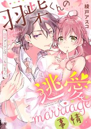 羽柴くんの逃愛marriage（マリッジ）事情 ～溺愛ダーリンは今日も嘘をつく～《Pinkcherie》