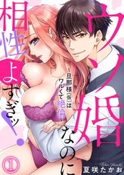 ウソ婚なのに相性よすぎッ!～旦那様(仮)はワルくて絶倫～