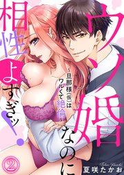 ウソ婚なのに相性よすぎッ！～旦那様（仮）はワルくて絶倫～(2)