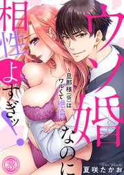 ウソ婚なのに相性よすぎッ！～旦那様（仮）はワルくて絶倫～(3)