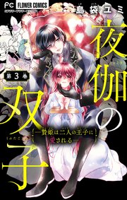 夜伽の双子―贄姫は二人の王子に愛される―【マイクロ】 3