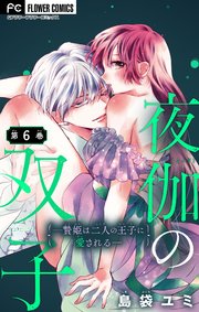 夜伽の双子―贄姫は二人の王子に愛される―【マイクロ】 6