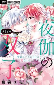 夜伽の双子―贄姫は二人の王子に愛される―【マイクロ】 12