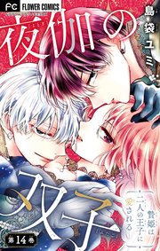 夜伽の双子―贄姫は二人の王子に愛される―【マイクロ】 14