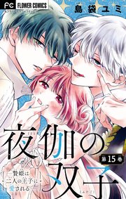 夜伽の双子―贄姫は二人の王子に愛される―【マイクロ】 15