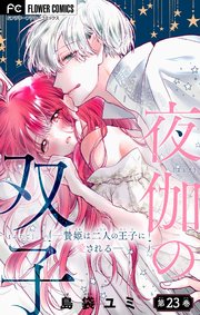 夜伽の双子―贄姫は二人の王子に愛される―【マイクロ】 23