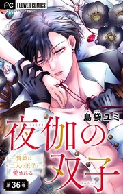 夜伽の双子―贄姫は二人の王子に愛される―【マイクロ】 36