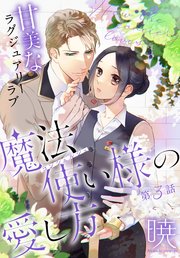 魔法使い様の愛し方［1話売り］ story03