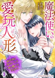 魔法使いの愛玩人形 異世界に落ちたOLは愛と魔力を注がれる03