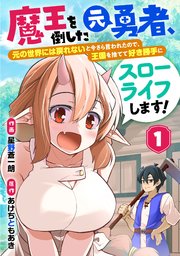 魔王を倒した元勇者、元の世界には戻れないと今さら言われたので、王国を捨てて好き勝手にスローライフします！