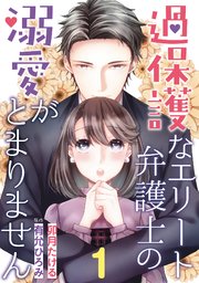 過保護なエリート弁護士の溺愛がとまりません