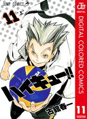 ハイキュー！！ カラー版 11