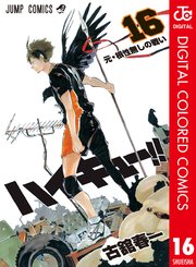 ハイキュー！！ カラー版 16