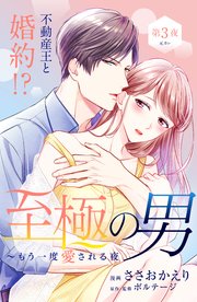 至極の男～もう一度愛される夜［comic tint］ 分冊版（3）