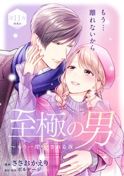 至極の男～もう一度愛される夜［comic tint］ 分冊版（11）