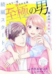 至極の男～もう一度愛される夜［comic tint］ 分冊版（13）
