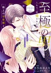 至極の男～もう一度愛される夜［comic tint］ 分冊版（14）